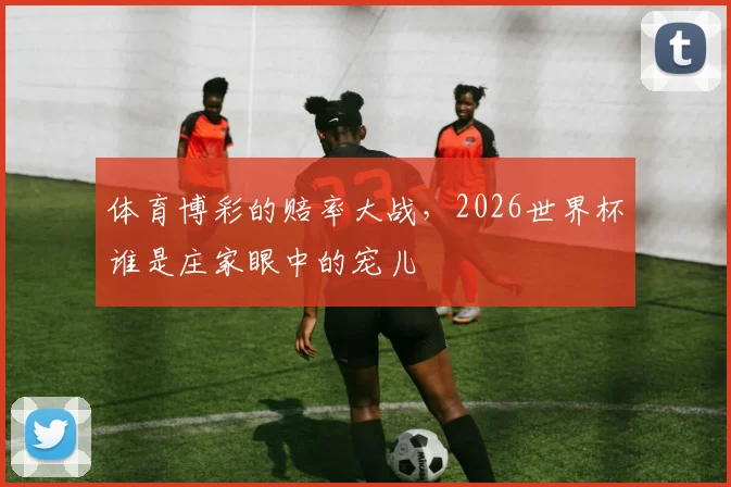 体育博彩的赔率大战,2026世界杯谁是庄家眼中的宠儿